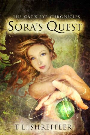 [The Cat's Eye Chronicles 01] • Sora's Quest